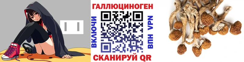 мориарти наркотические препараты  Аркадак  Галлюциногенные грибы MAGIC MUSHROOMS 